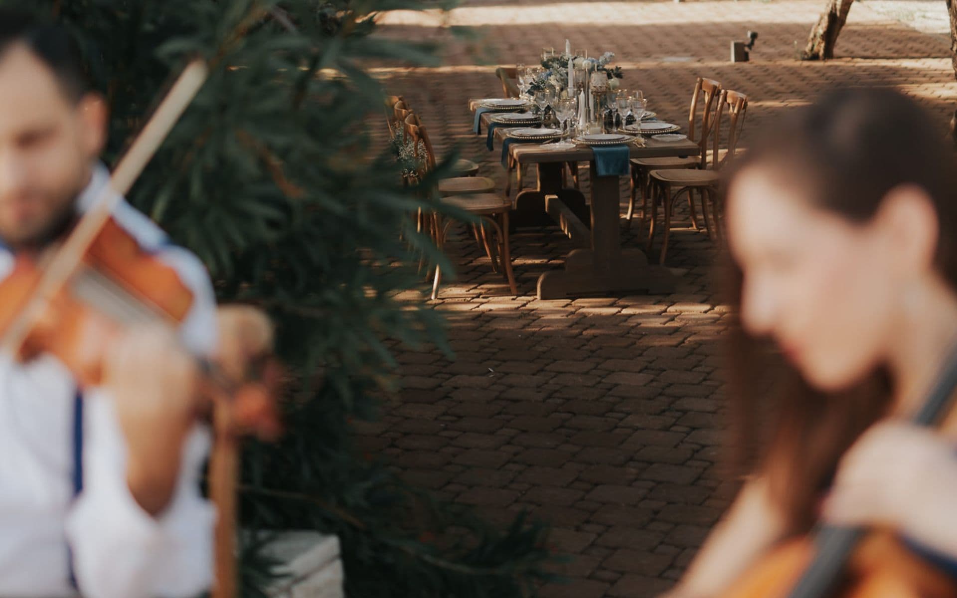 One Cello n a Half - gallery image - 11