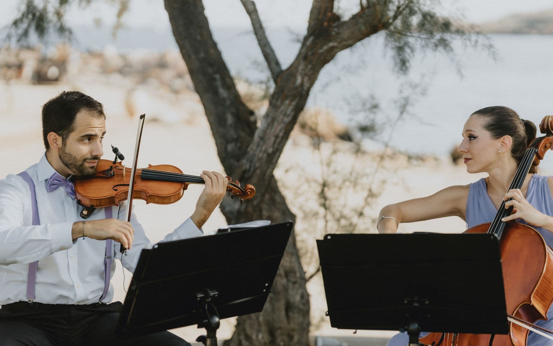 One Cello n a Half - gallery image - 54